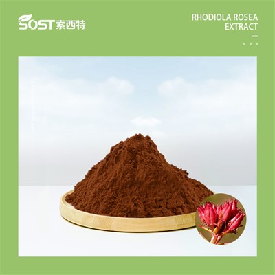 T a c h N i k e 20240808 .