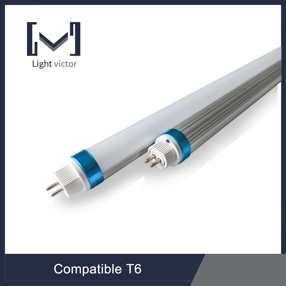 LED sealant 广州聚 一组 林炯婷